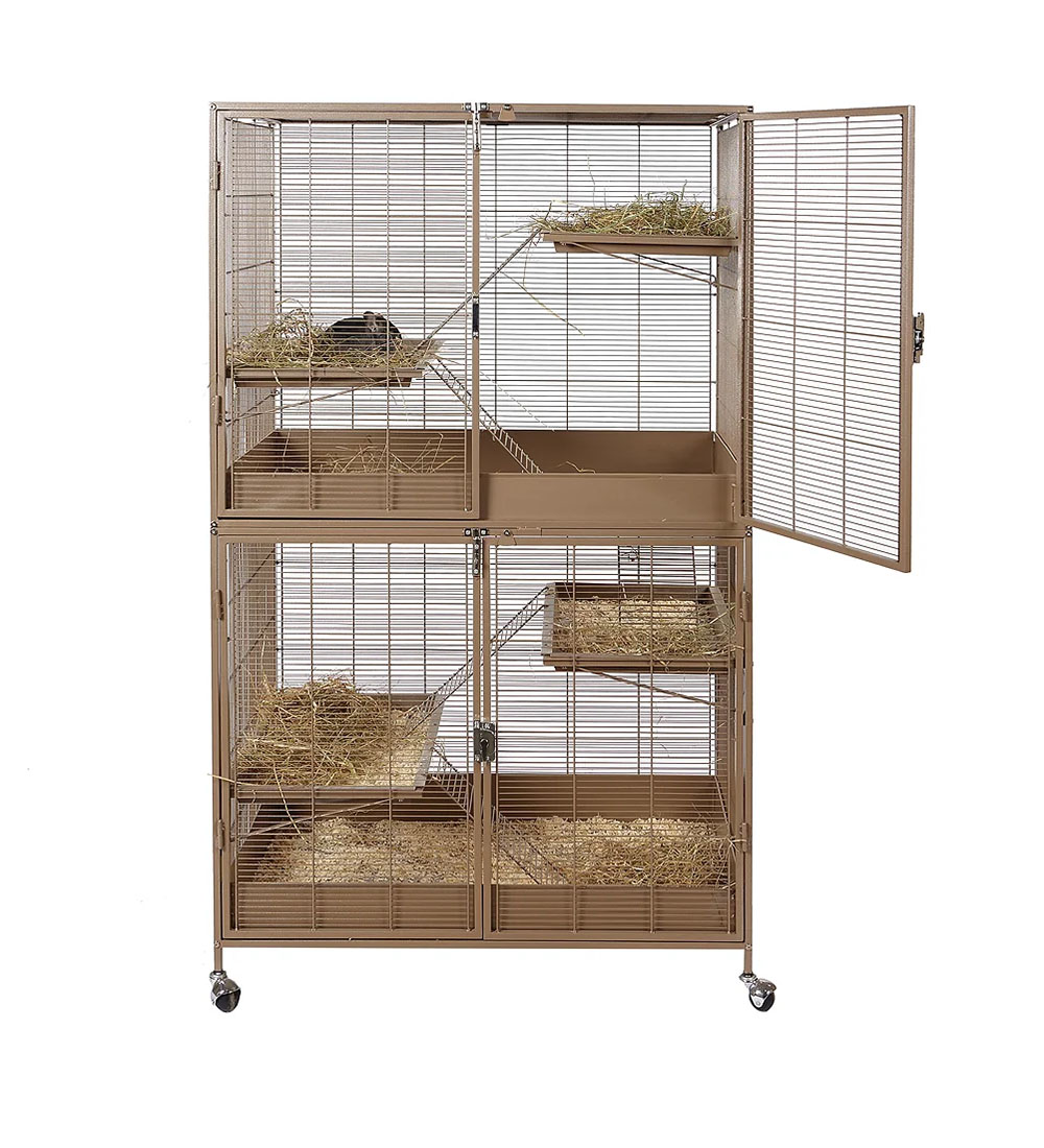 Rat Care Cheat Sheets – The Rat Wiki