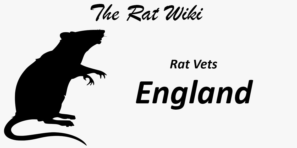 Vats And Rats Exotic and Rat Savvy Vets – The Rat Wiki