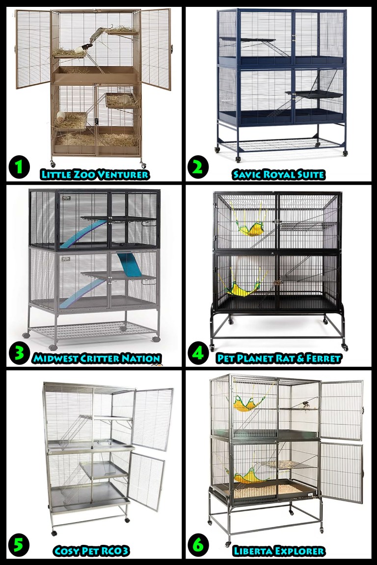 Rat Build Small Build Your Own Rat Cage Setup – The Rat Wiki